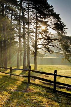 the sun shines through the trees in front of a fence on a grassy field