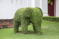 an elephant made out of bushes in the grass