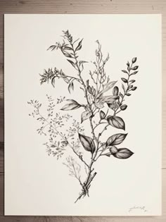 a black and white drawing of some flowers