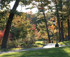 a street light in the middle of a park surrounded by trees with fall foliage on it