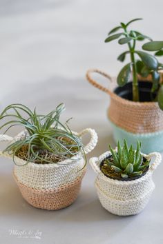 three small crocheted baskets with plants in them sitting on a white tablecloth