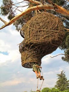 a man hanging from a tree with a large bird nest