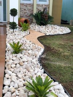 some plants and rocks in front of a house