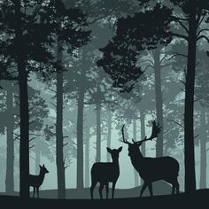 two deer standing in the middle of a forest