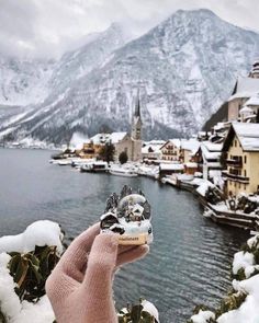 a person holding up a small bird in front of snow covered mountains and lake with buildings