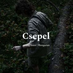 a man standing next to a tree with the words csepel in white on it