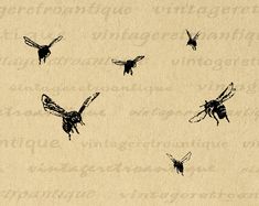 a group of flying insects on top of a piece of paper with writing underneath it