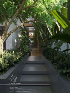 the walkway is lined with trees and plants, along with concrete steps that lead up to an entrance