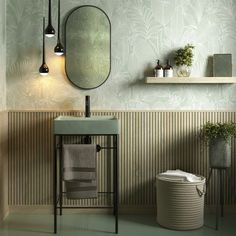 a bathroom with a sink and mirror next to a shelf filled with plants on the wall