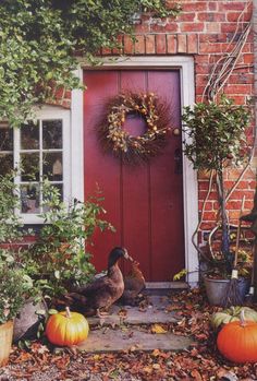 a red door with a wreath and two pumpkins