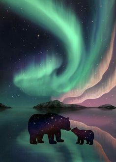 two bears are standing in the water under an aurora borel sky with green and purple lights