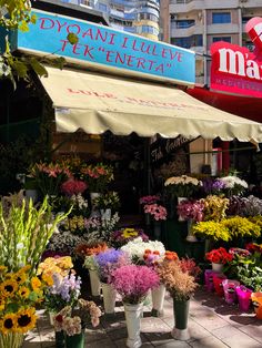 a flower shop with many different types of flowers