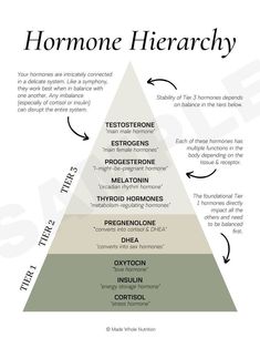 Functional Health, Weight Workout, Vie Motivation, Health Research