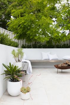 an outdoor seating area with potted plants