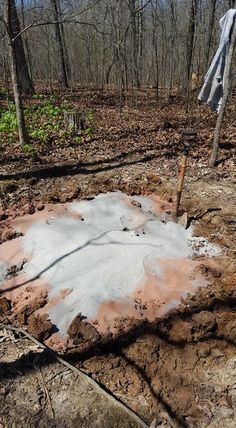 the ground is covered with mud in the woods