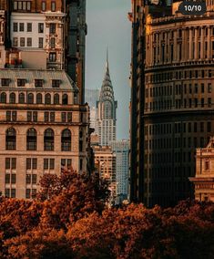 there are many buildings in the city with spires on each side and trees near by