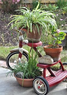 a red tricycle with potted plants in it