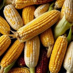 corn on the cob is shown in this close up photo, with other kernels still attached to it