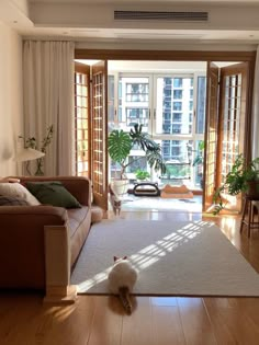 a cat sitting on the floor in front of a living room with sliding glass doors