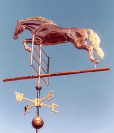 a weather vane with a horse on it