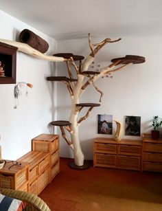 a tree that is in the corner of a room