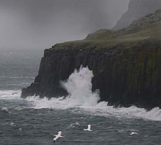 seagulls flying over the ocean and crashing waves near a rocky cliff on an overcast day