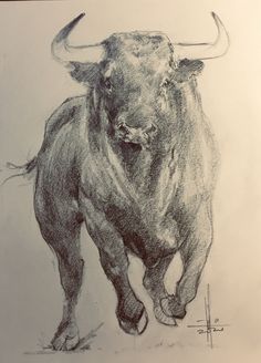 a drawing of a bull with long horns