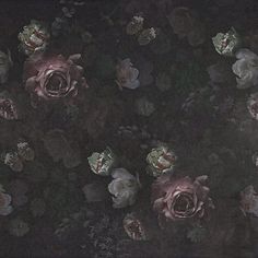 an overhead view of some pink flowers in the dark