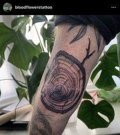 a man's arm with a tree stump tattoo on it