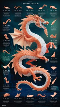 an orange and white dragon is shown in this graphic art print with instructions to make it look