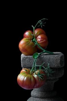 three tomatoes sitting on top of a stone pillar