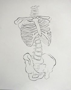 a black and white drawing of a human skeleton