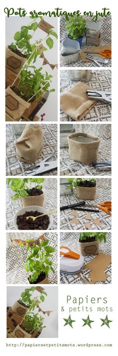 the steps to make a planter out of cardboard