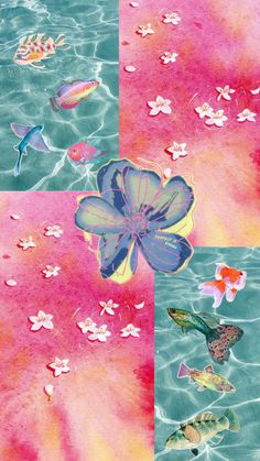 four different images of water with fish and flowers on them, one is pink and the other is blue