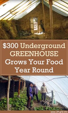 a book cover with an image of people standing in front of a greenhouse and the words $ 300 underground greenhouse grows your food year round