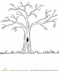 a drawing of a tree with a hole in the trunk and leaves on it's branches