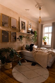 a bed sitting in a bedroom next to a window with potted plants on it