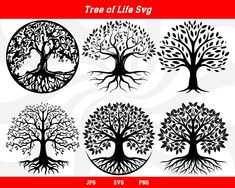 the tree of life svg files are available for use in your design projects and crafts