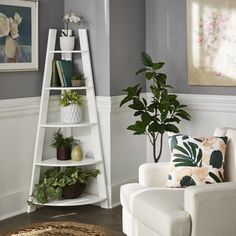 a living room filled with furniture and a potted plant on top of a shelf