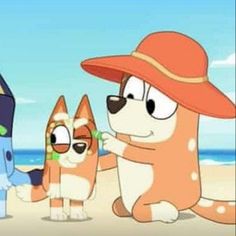 two dogs and a cat are standing on the beach, one is wearing a hat