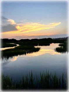 the sky is reflected in the still water at sunset, with tall grass on both sides