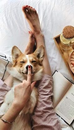 a woman laying on top of a bed next to a brown and white corgi