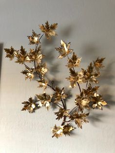 a group of gold leaves on a white wall next to a black vase with flowers in it