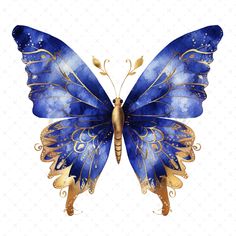 a blue butterfly with gold accents on it's wings and wings are shown against a white background