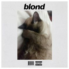 a cat laying on top of a white sheet with the word blond written across it