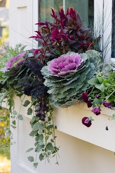 a window box filled with purple flowers and greenery