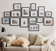 a living room filled with furniture and framed pictures on the wall above it's couch