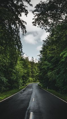 an empty road in the middle of some trees