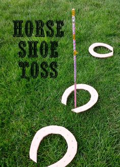 the horse shoe toss game is set up in the grass and ready to be played