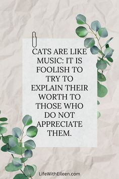 a piece of paper with a quote on it that says cats are like music it is foolish to try to explain their worth to those who do not appreciate them